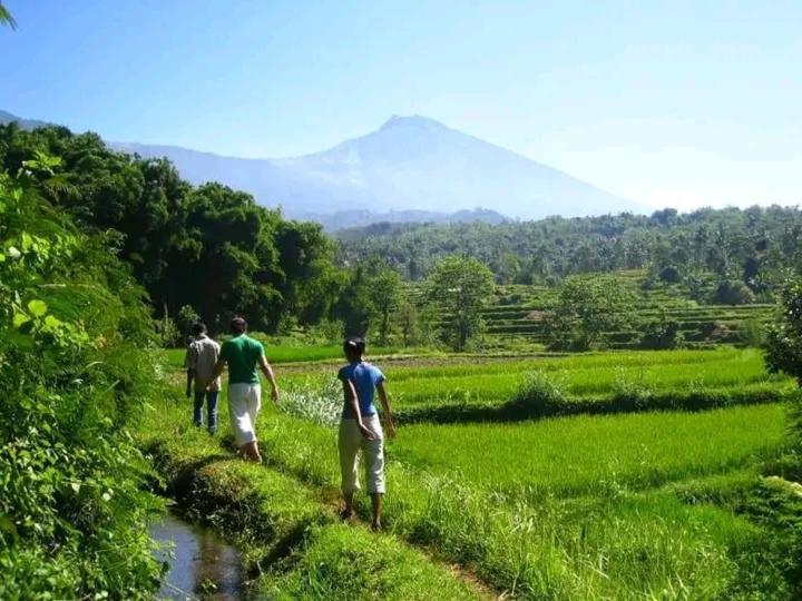 Wina Wani Bungalows テテバトゥ エクステリア 写真