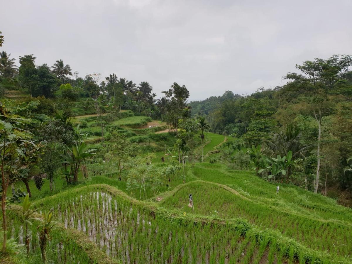 Wina Wani Bungalows テテバトゥ エクステリア 写真